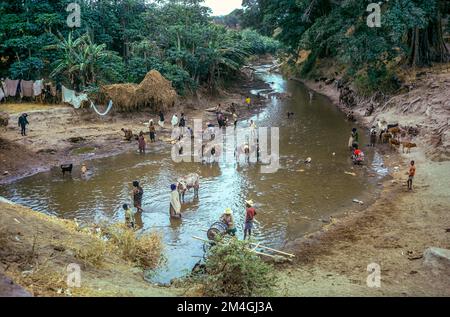 Ethiopie, 1970s, Bahar-Dar, les gens lavant le linge de maison dans la rivière, région d'Amhara, Afrique de l'est, Banque D'Images