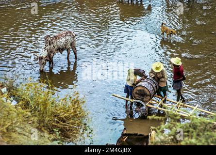 Éthiopie, 1970s ans, Bahir-Dar, 3 hommes qui déposent de l'eau de rivière dans le CAN, région d'Amhara, Afrique de l'est, Banque D'Images