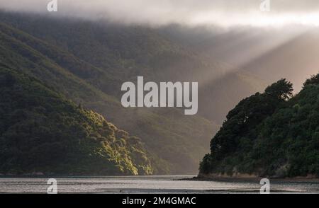 Whatamango Bay marlborough Sounds Banque D'Images