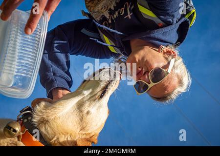 Marcheur de chiens femelle avec un paquet de chiens marchant sur le sentier dans la forêt du côté de la montagne Banque D'Images