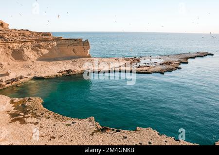 Magnifique paysage avec falaises, mer bleue, oiseaux et lions de mer pendant le coucher du soleil sur la côte Patagonienne de l'Argentine près de Puerto Madryn. Loberia viewpoi Banque D'Images