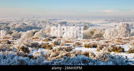 Belle scène d'hiver gel sévère sur et autour de Broc Hill Milford avec vue sur le nord du Staffordshire au début de l'hiver Cannock Chase Country par Banque D'Images