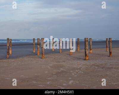 Poteaux en bois sur la plage de Schiermonnikoog, pays-Bas Banque D'Images