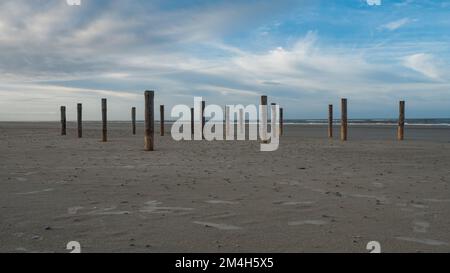 Poteaux en bois sur la plage de Schiermonnikoog, pays-Bas Banque D'Images