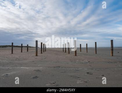 Poteaux en bois sur la plage de Schiermonnikoog, pays-Bas Banque D'Images