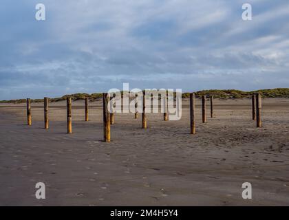 Poteaux en bois sur la plage de Schiermonnikoog, pays-Bas Banque D'Images