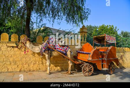 Jaisalmer, Inde - 10 novembre 2017. Chameau attendant le touriste dans la rue. Jaisalmer est un ancien centre commercial médiéval de l'État indien de Raj Banque D'Images