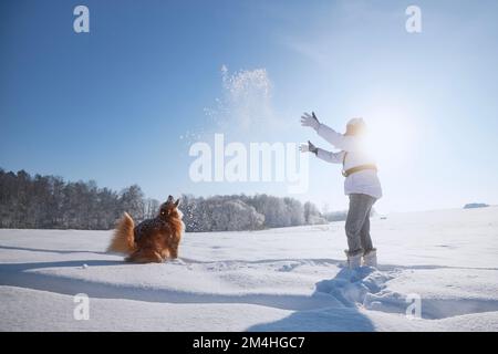 Femme jouant avec le chien pendant la marche dans un paysage enneigé. Le propriétaire d'un animal de compagnie jette de la neige avec son chien de chasse de la Nouvelle-Écosse. Banque D'Images