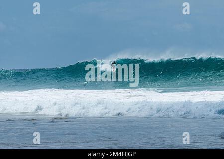 Surfeur solitaire qui attrape une grande vague dans la mer verte émeraude de Fernando de Noronha Banque D'Images