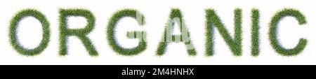 Concept ou gazon vert conceptuel formant le mot ORGANIQUE isolé sur fond blanc. métaphore d'illustration 3d pour la nature, l'écologie Banque D'Images
