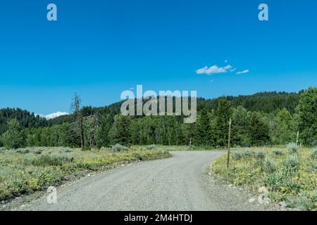 Pilgrim Creek Road, une route non pavée dans le parc national de Grand Teton Banque D'Images
