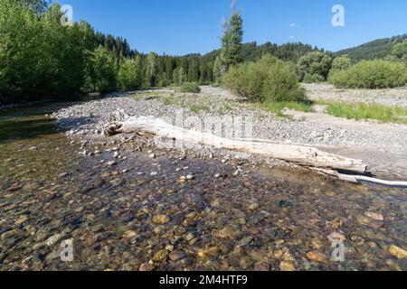 Pilgrim Creek dans le parc national de Grand Teton sous le soleil d'été Banque D'Images