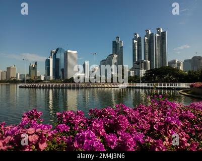 Bangkok, Thaïlande. Paysage urbain du parc Benchakitti Banque D'Images