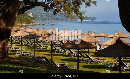 Banana Beach, pelouse verte, parasols, chaises longues, arbres sur la plage, personne, arbre, bleu eau, bleu ciel Banque D'Images