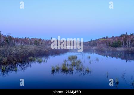 Brumes matinales au lever du soleil sur un étang de castors au début du printemps, Grand Sudbury, Ontario, Canada Banque D'Images