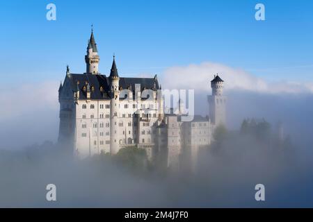 Château de Neuschwanstein dans le brouillard, Hohenschwangau, Fuessen, Alpes d'Allgaeu, Allgaeu, Bavière, Allemagne Banque D'Images