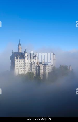 Château de Neuschwanstein dans le brouillard, Hohenschwangau, Fuessen, Alpes d'Allgaeu, Allgaeu, Bavière, Allemagne Banque D'Images