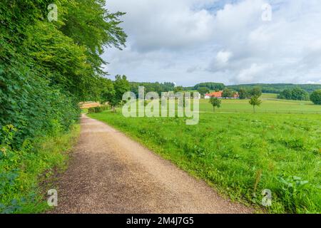 Fohlenhof Gestuet St. Johann, station d'élevage de foal, Bad Urach, région de la biosphère de l'Alb souabe, agriculture, sentier de randonnée de Wassersteigfall, randonnée premium Banque D'Images