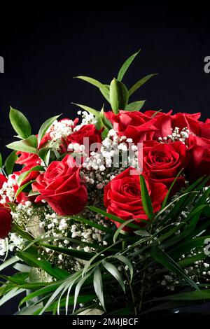 Gros plan. Bouquet de fleurs roses rouges isolées sur fond noir. Banque D'Images