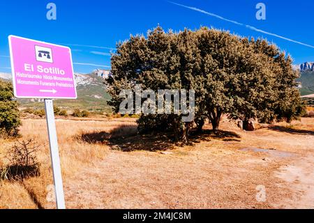 Dolmen d'El Sotillo, complexe mégalithique composé d'un couloir et d'une chambre funéraire. LaGuardia, Álava, pays Basque, Espagne, Europe Banque D'Images