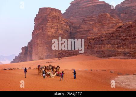 Jordanie, Wadi Rum - 2 novembre 2022: Les chameaux reposent sur le sable dans le désert, les gens autour. Paysage de rochers de grès Banque D'Images