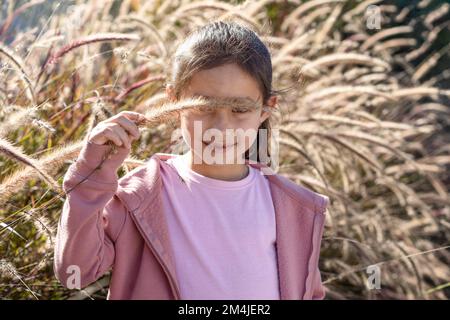 Petite fille tenant l'herbe de pampas aux yeux devant le champ d'herbe de pampas. Banque D'Images