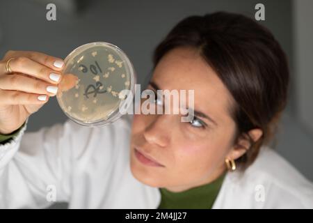 Jeune chercheuse qui observe des bactéries gélosées, feu sélectif sur la boîte de Petri plate de l'expérience. Analyse microbiologique de routine Banque D'Images