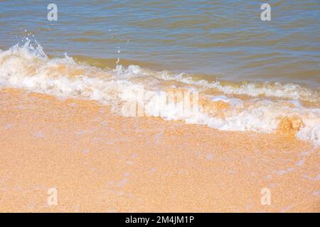 La côte de la mer d'Azov. Les vagues de la mer roulent sur le rivage sablonneux. Plage de sable de Seashell. Banque D'Images
