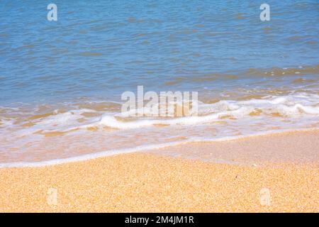 La côte de la mer d'Azov. Les vagues de la mer roulent sur le rivage sablonneux. Plage de sable de Seashell. Banque D'Images