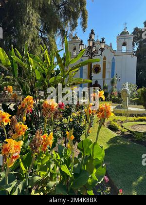 Oaxaca, États-Unis. 7th décembre 2022. L'église de Santa Maria del Tule à côté de l'arbre de Tule ou El Ãrbol del Tule à l'est de Oaxaca, Mexique, est vu mercredi 7 décembre 2022. Le cyprès de Montezuma est célèbre pour être l'arbre le plus piquant du monde. (Image de crédit : © Mark Hertzberg/ZUMA Press Wire) Banque D'Images