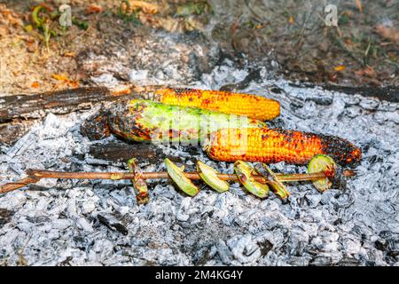 Pique-nique végétalien . Maïs cuit au charbon de bois . Légumes grillés Banque D'Images