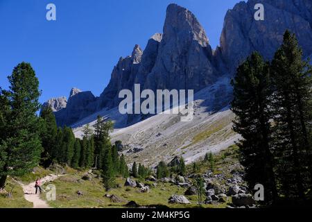 Un seul marcheur sur le chemin d'Adolf-Munkel-Weg Trail sous le massif de Geislerspitzen, le parc naturel Puez-Geisler, la vallée de Funes, les pics d'Odle, les Dolomites, Italie Banque D'Images