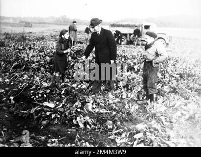 Machines agricoles - nouvelles machines agricoles américaines testées en France. Photographies des programmes du Plan Marshall, des pièces justificatives et du personnel Banque D'Images