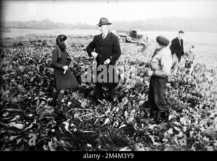 Machines agricoles - nouvelles machines agricoles américaines testées en France. Photographies des programmes du Plan Marshall, des pièces justificatives et du personnel Banque D'Images