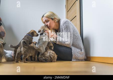 Femme bénévole avec ses petits chiots sauvés à la maison. Photo de haute qualité Banque D'Images