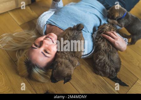 Temp home femme volontaire jouant avec des petits chiots. Photo de haute qualité Banque D'Images