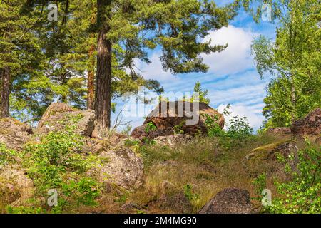 Paysage avec rochers et arbres près de Figeholm en Suède. Banque D'Images
