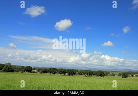 Nuage passant par la vallée de Ribble près de Hoghton Hall Hoghton près de Blackburn Lancashire Angleterre Banque D'Images