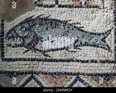 Mosaïque byzantine des poissons, Basilique euphrasienne, Porec, Istrie, Croatie Banque D'Images