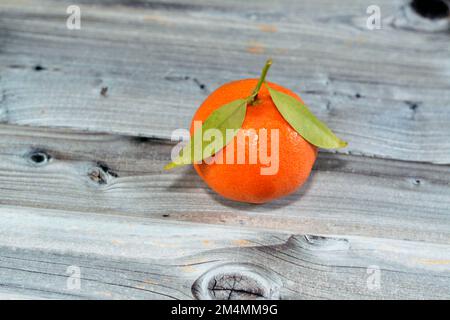 L'orange mandarine (Citrus reticulata), également connu sous le nom de mandarine ou mandarine, un petit agrumes. Traitée comme une espèce distincte d'orange, Banque D'Images