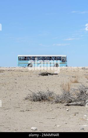 Un bus bleu plein de randonneurs namibiens et de touristes appréciant un voyage au parc national d'Etosha pour voir la faune, la Namibie, l'Afrique du Sud-Ouest Banque D'Images