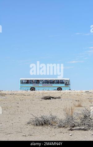 Un bus bleu plein de randonneurs namibiens et de touristes appréciant un voyage au parc national d'Etosha pour voir la faune, la Namibie, l'Afrique du Sud-Ouest Banque D'Images