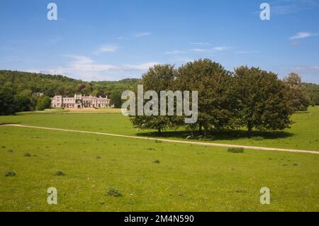 Jardins et collège West Dean avec sentier et bosquet d'arbres en été Banque D'Images