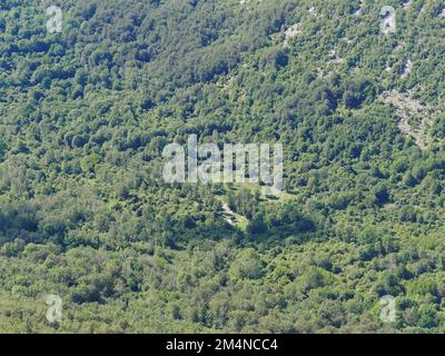 Photo aérienne d'une petite église dans une forêt verte sur la montagne Velebit, Croatie Banque D'Images