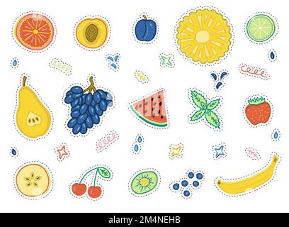 Autocollants fruits exotiques et baies. Ananas, fraise, pomme, lime, pamplemousse, poire, cerise, pastèque, prune, pêche, raisin, kiwi et autres. Illustration de Vecteur