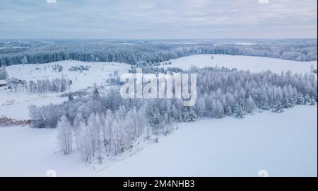 Photo aérienne de la forêt d'hiver entourée par la forêt de bouleau. Tir de drone d'arbres couverts de givre et de neige. Arrière-plan naturel en hiver Banque D'Images