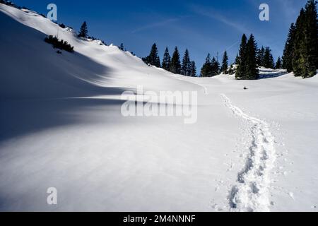 Fußspuren im Schnee Banque D'Images