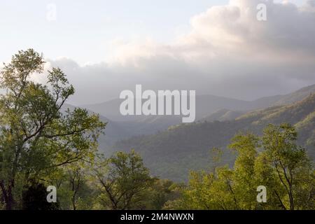 TN00152-00....Tennessee - collines ondulantes dans le parc national des Great Smoky Mountains. Banque D'Images