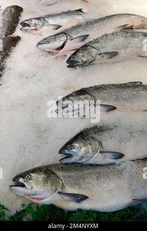 Saumon frais sur glace dans un marché aux poissons de Seattle, WA Banque D'Images