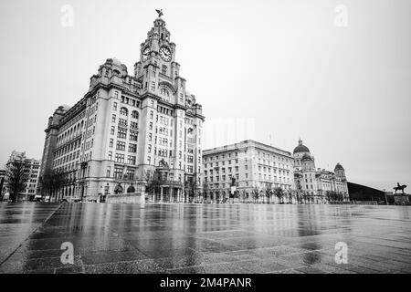 Le Royal Liver Building, le Cunard Building et le Port of Liverpool Building ont vu se refléter dans le revêtement humide de Pier Head en décembre 2022 le long du Banque D'Images